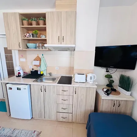 Desi House 301 Cozy * Nessebar